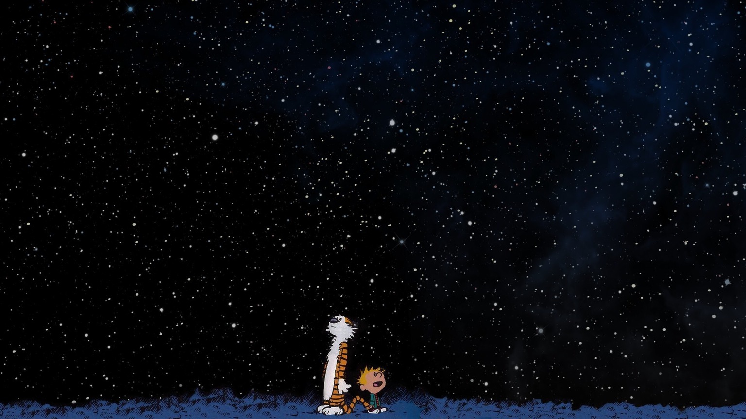 Cosmic landscape